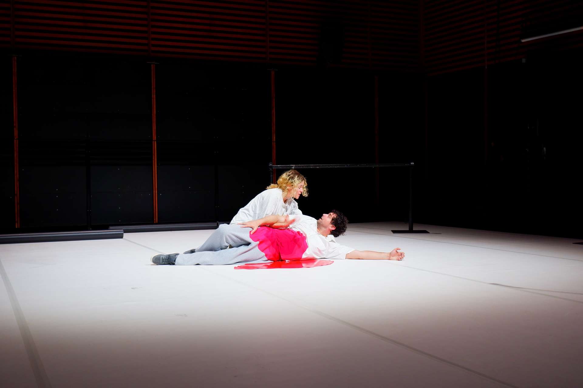Photo du spectacle Polyester